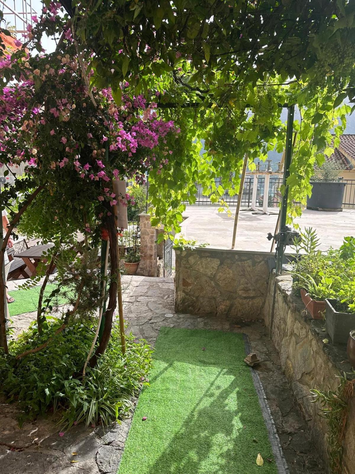 Themis Apart Hotel Kotor Dış mekan fotoğraf