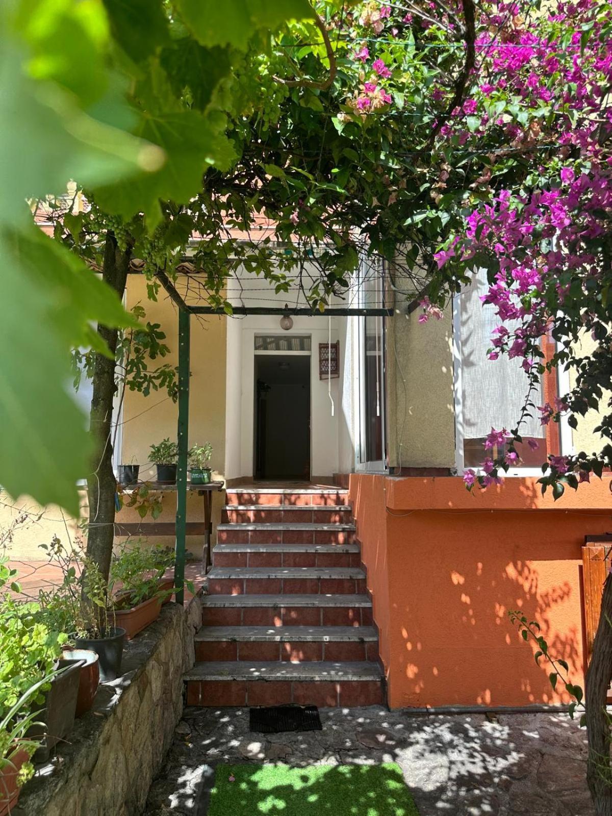 Themis Apart Hotel Kotor Dış mekan fotoğraf